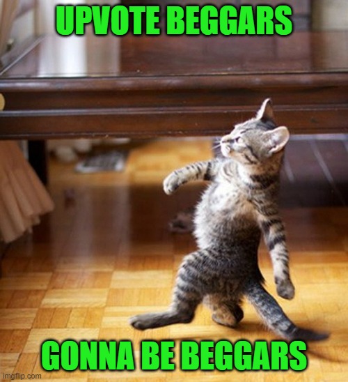 Part 5 of useless memes | UPVOTE BEGGARS; GONNA BE BEGGARS | image tagged in cat walking like a boss,useless,funny memes | made w/ Imgflip meme maker