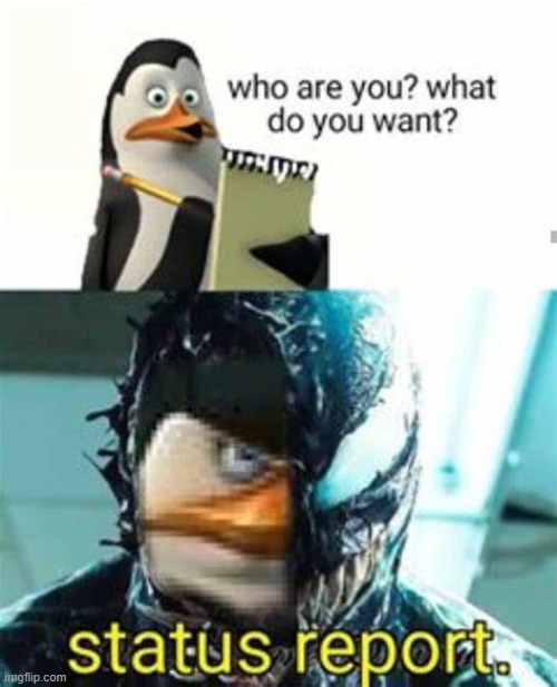 Part 7 of useless memes | image tagged in useless,funny memes | made w/ Imgflip meme maker