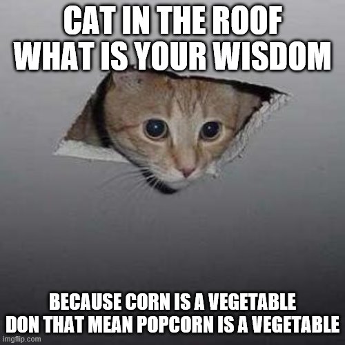 cat in the roof what is your wisdom | CAT IN THE ROOF
WHAT IS YOUR WISDOM; BECAUSE CORN IS A VEGETABLE DON THAT MEAN POPCORN IS A VEGETABLE | image tagged in memes,ceiling cat | made w/ Imgflip meme maker