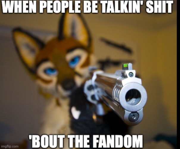 Haters gonna get Kashot | image tagged in furry | made w/ Imgflip meme maker