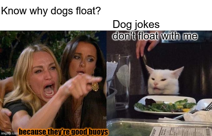 Woman Yelling At Cat | Know why dogs float? Dog jokes
don't float with me; because they're good buoys | image tagged in memes,woman yelling at cat | made w/ Imgflip meme maker