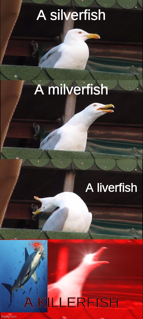 A silverfish is a killerfish | A silverfish; A milverfish; A liverfish; A KILLERFISH | image tagged in memes,inhaling seagull,silverfish,minecraft,smoketheskynightwing,a tag this is a tag | made w/ Imgflip meme maker