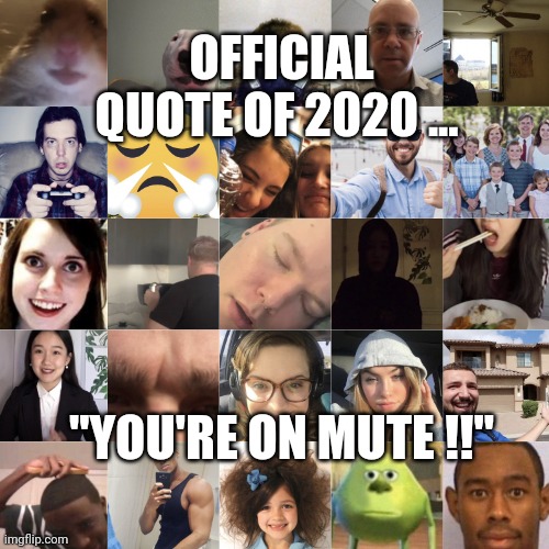 Zoom Classes Be Like | OFFICIAL QUOTE OF 2020 ... "YOU'RE ON MUTE !!" | image tagged in zoom classes be like | made w/ Imgflip meme maker