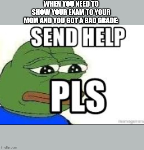 Send Help Pls | WHEN YOU NEED TO SHOW YOUR EXAM TO YOUR MOM AND YOU GOT A BAD GRADE: | image tagged in fun,pepe the frog | made w/ Imgflip meme maker