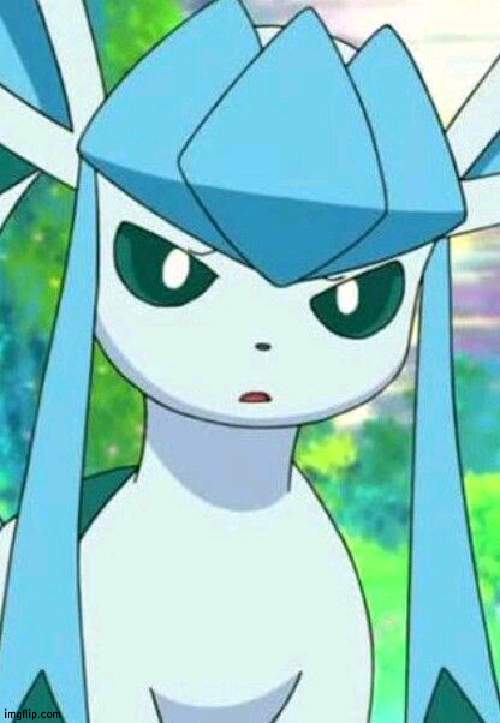 Glaceon confused | image tagged in glaceon confused | made w/ Imgflip meme maker
