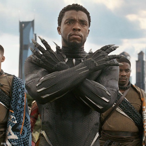 Wakanda Forever | image tagged in wakanda forever | made w/ Imgflip meme maker