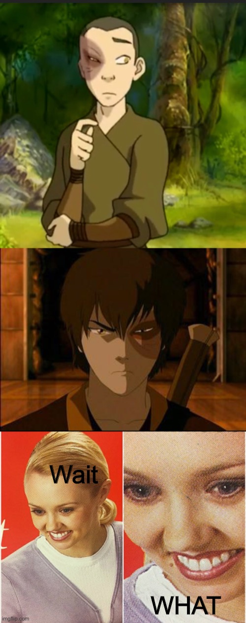 HOW DID HIS SCAR SWITCH SIDES | Wait; WHAT | image tagged in wait what,zuko,avatar the last airbender,avatar,who reads these | made w/ Imgflip meme maker