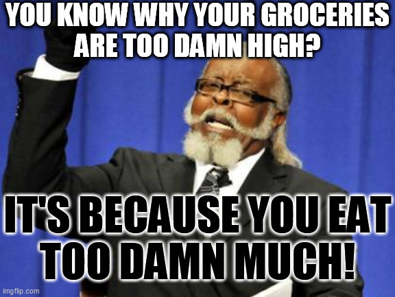 Too Damn High Meme | YOU KNOW WHY YOUR GROCERIES
ARE TOO DAMN HIGH? IT'S BECAUSE YOU EAT
TOO DAMN MUCH! | image tagged in memes,too damn high | made w/ Imgflip meme maker