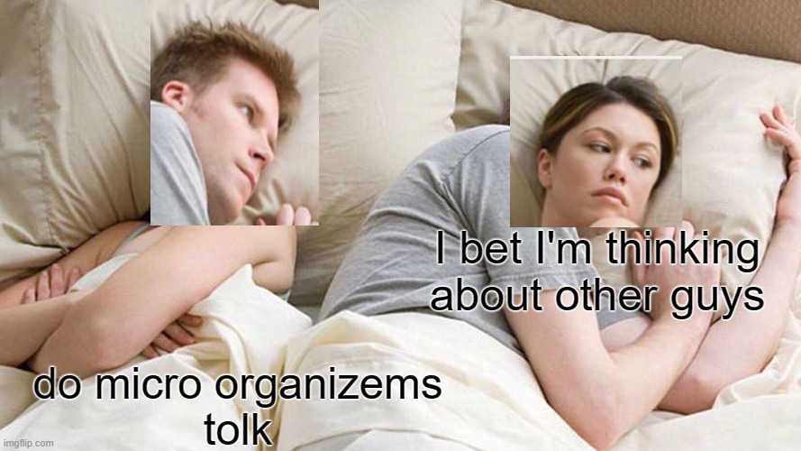 What the heck!!!!???? | I bet I'm thinking about other guys; do micro organizems
tolk | image tagged in memes,i bet he's thinking about other women | made w/ Imgflip meme maker