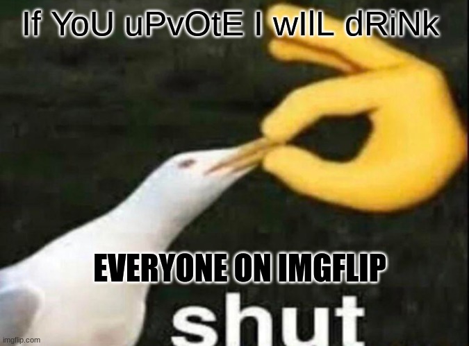 Shut | If YoU uPvOtE I wIlL dRiNk; EVERYONE ON IMGFLIP | image tagged in shut | made w/ Imgflip meme maker