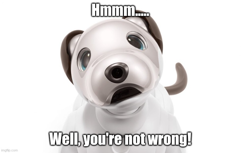 Confused Robot Dog | Hmmm..... Well, you're not wrong! | image tagged in confused robot dog | made w/ Imgflip meme maker