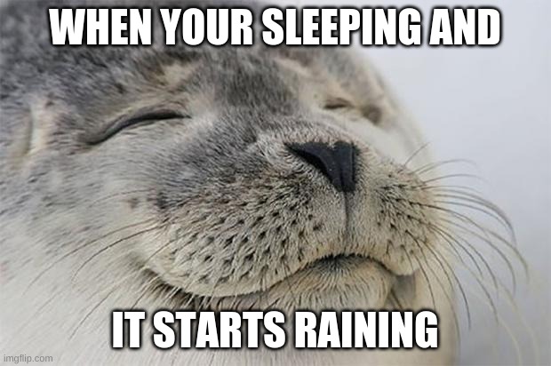 Satisfied Seal | WHEN YOUR SLEEPING AND; IT STARTS RAINING | image tagged in memes,satisfied seal | made w/ Imgflip meme maker