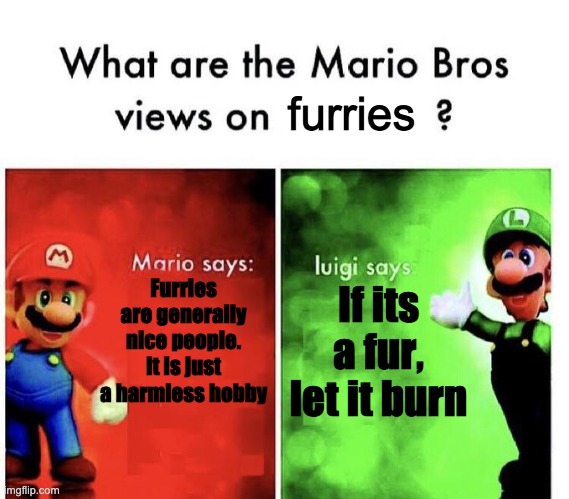 Mario Bros Views | furries; Furries are generally nice people. It is just a harmless hobby; If its a fur, let it burn | image tagged in mario bros views,anti furry | made w/ Imgflip meme maker