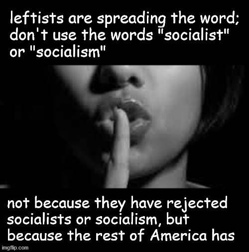 Let's not say "socialist" or "socialism" anymore | image tagged in politics | made w/ Imgflip meme maker