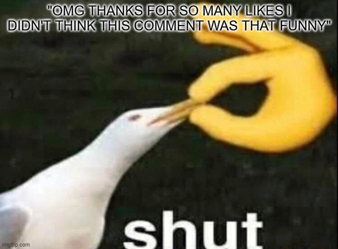 When you read a comment and in the end it has "Edited : Omg guys thx for the likes you are the best!" |  "OMG THANKS FOR SO MANY LIKES I DIDN'T THINK THIS COMMENT WAS THAT FUNNY" | image tagged in shut,comments,youtube comments,likes,youtube | made w/ Imgflip meme maker