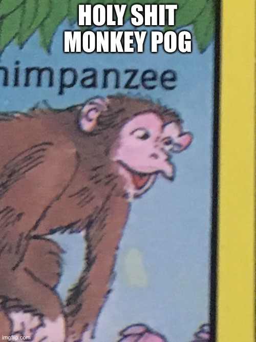 HOLY SHIT MONKEY POG | made w/ Imgflip meme maker