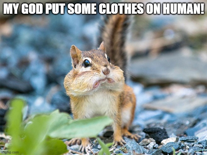 MY GOD PUT SOME CLOTHES ON HUMAN! | made w/ Imgflip meme maker
