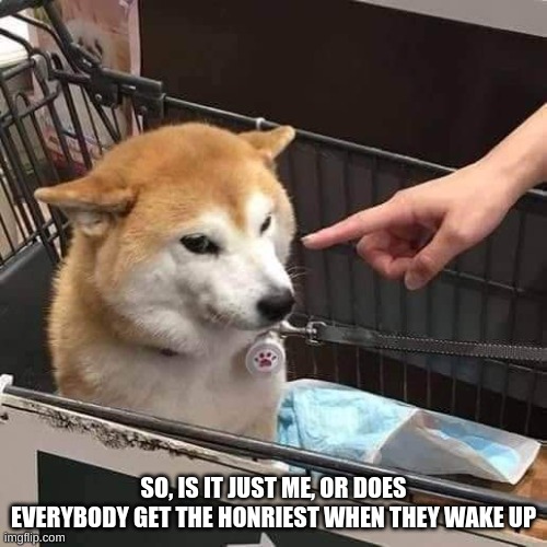 No horny | SO, IS IT JUST ME, OR DOES EVERYBODY GET THE HONRIEST WHEN THEY WAKE UP | made w/ Imgflip meme maker