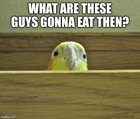 The Birb | WHAT ARE THESE GUYS GONNA EAT THEN? | image tagged in the birb | made w/ Imgflip meme maker