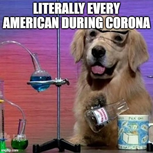 I Have No Idea What I Am Doing Dog Meme | LITERALLY EVERY AMERICAN DURING CORONA | image tagged in memes,i have no idea what i am doing dog | made w/ Imgflip meme maker