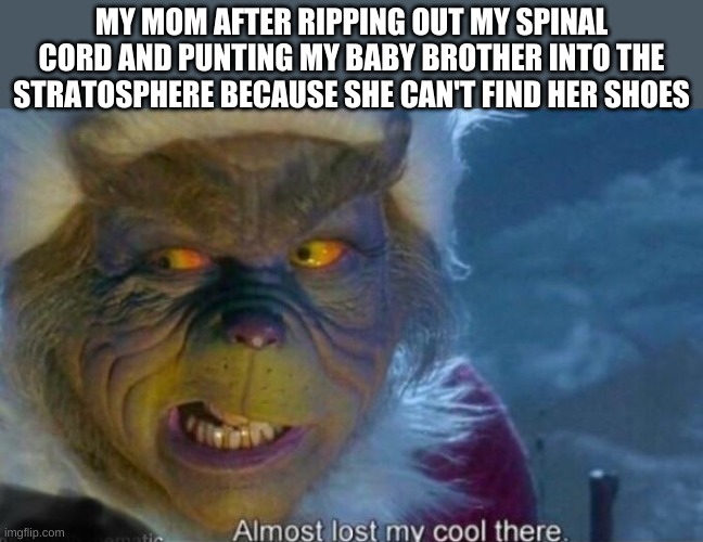 The grinch | MY MOM AFTER RIPPING OUT MY SPINAL CORD AND PUNTING MY BABY BROTHER INTO THE STRATOSPHERE BECAUSE SHE CAN'T FIND HER SHOES | image tagged in the grinch | made w/ Imgflip meme maker