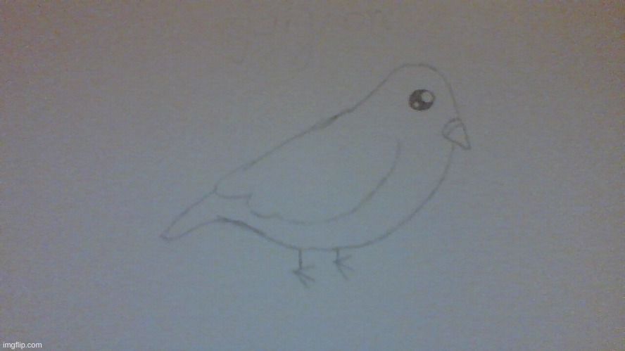 Yes very ugly Pigeon right here this is Piccionas request | image tagged in pigeon,drawing,ugly | made w/ Imgflip meme maker