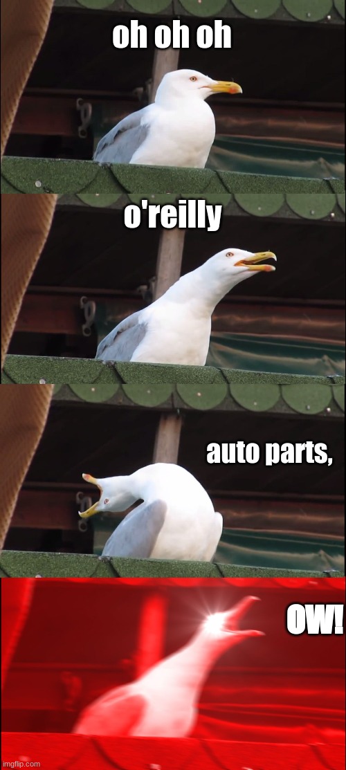 Inhaling Seagull | oh oh oh; o'reilly; auto parts, OW! | image tagged in memes,inhaling seagull,laugh,lol,lol so funny,yes | made w/ Imgflip meme maker