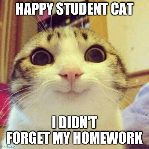 Smiling Cat Meme | HAPPY STUDENT CAT; I DIDN'T FORGET MY HOMEWORK | image tagged in memes,smiling cat | made w/ Imgflip meme maker