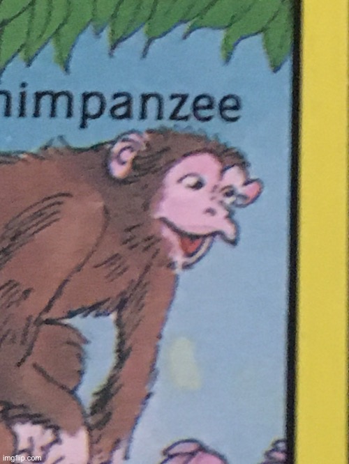 Chimpanzee pog | image tagged in chimpanzee pog | made w/ Imgflip meme maker