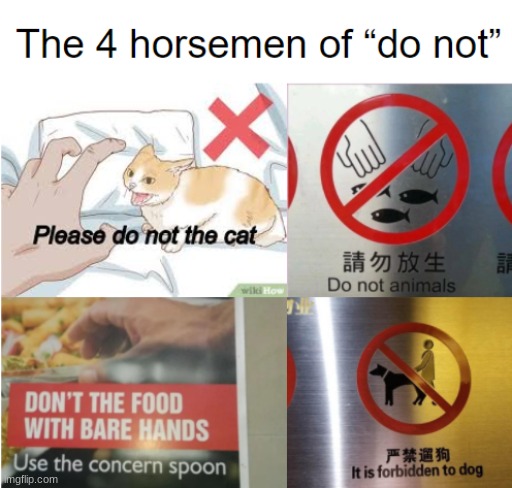 Please do not the cat | image tagged in for i am the cat | made w/ Imgflip meme maker
