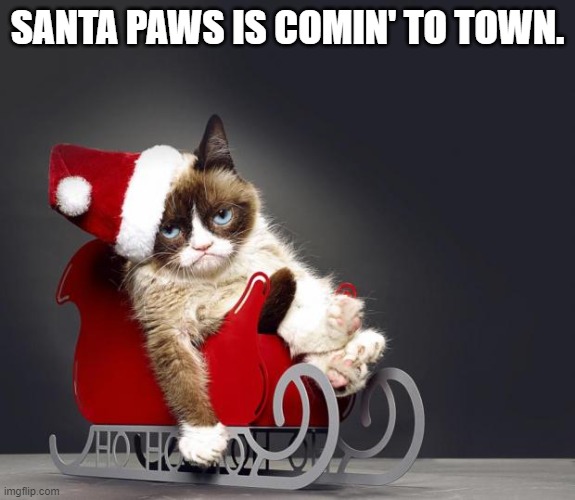 santa paws | SANTA PAWS IS COMIN' TO TOWN. | image tagged in grumpy cat christmas hd | made w/ Imgflip meme maker