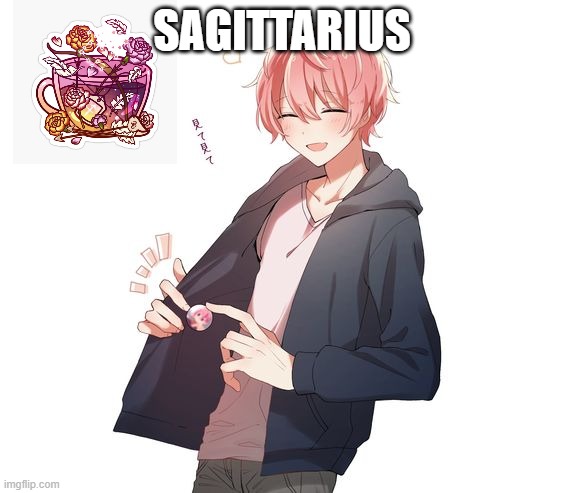 SAGITTARIUS | made w/ Imgflip meme maker