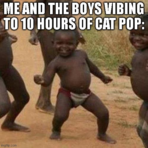 Just vibing... | ME AND THE BOYS VIBING TO 10 HOURS OF CAT POP: | image tagged in memes,third world success kid | made w/ Imgflip meme maker