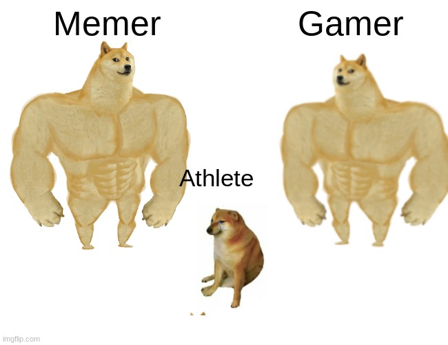 Buff Doge vs. Cheems Meme | Memer; Gamer; Athlete | image tagged in memes,buff doge vs cheems | made w/ Imgflip meme maker