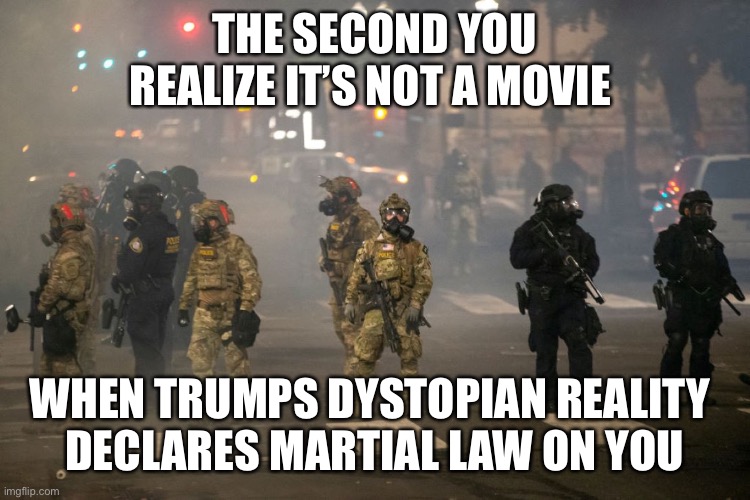 Generals who swore oaths to the Constitution now advise Trump to declare martial law and stage a coup? | THE SECOND YOU REALIZE IT’S NOT A MOVIE; WHEN TRUMPS DYSTOPIAN REALITY 
DECLARES MARTIAL LAW ON YOU | image tagged in donald trump,martial law,insanity,voter fraud,us army,decisions | made w/ Imgflip meme maker