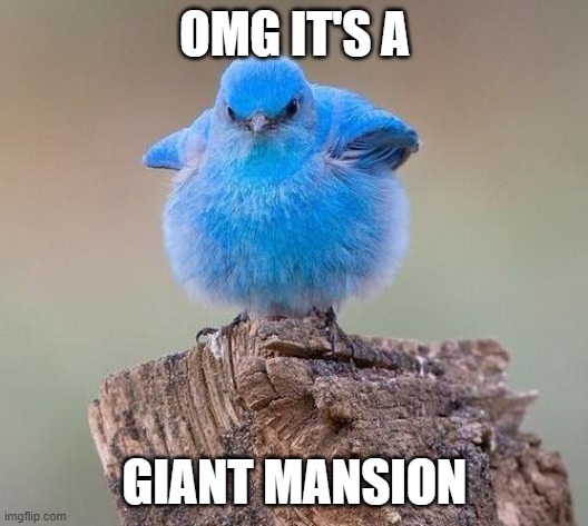 Fluffy bluebird | OMG IT'S A GIANT MANSION | image tagged in fluffy bluebird | made w/ Imgflip meme maker