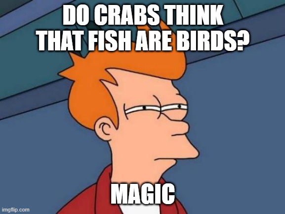 Futurama Fry Meme | DO CRABS THINK THAT FISH ARE BIRDS? MAGIC | image tagged in memes,futurama fry | made w/ Imgflip meme maker