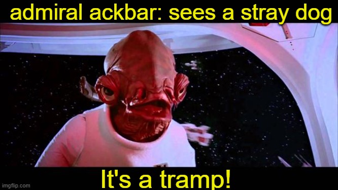 It's a tramp! | admiral ackbar: sees a stray dog; It's a tramp! | image tagged in it's a trap | made w/ Imgflip meme maker