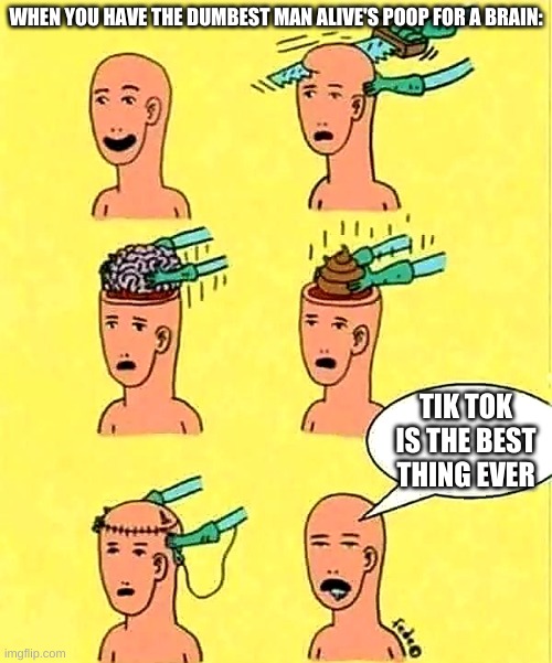 Tiktokers have poop for their brain | WHEN YOU HAVE THE DUMBEST MAN ALIVE'S POOP FOR A BRAIN:; TIK TOK IS THE BEST THING EVER | image tagged in brainless | made w/ Imgflip meme maker