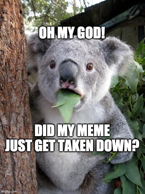 oOF | OH MY GOD! DID MY MEME JUST GET TAKEN DOWN? | image tagged in memes,surprised koala,oof,taken,down | made w/ Imgflip meme maker