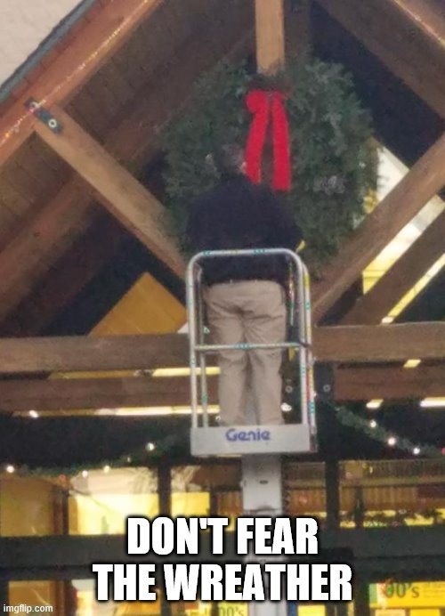 Don't Fear the Wreather | DON'T FEAR THE WREATHER | image tagged in christmas,merry christmas,christmas memes | made w/ Imgflip meme maker