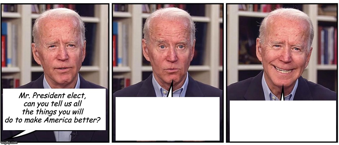 Biden reveal the Biden Plan to the  world. | Mr. President elect, can you tell us all the things you will do to make America better? | image tagged in biden cartoon | made w/ Imgflip meme maker