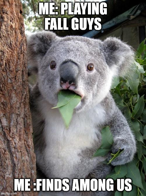 koala plays among us meme yea yea | ME: PLAYING FALL GUYS; ME :FINDS AMONG US | image tagged in memes,surprised koala | made w/ Imgflip meme maker