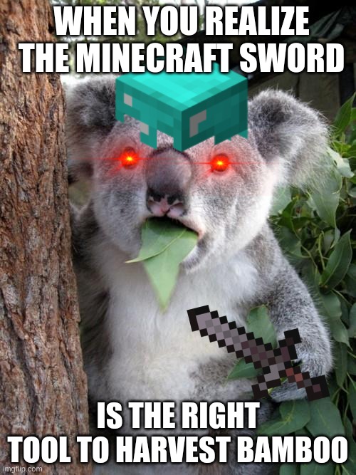 Surprised Koala | WHEN YOU REALIZE THE MINECRAFT SWORD; IS THE RIGHT TOOL TO HARVEST BAMBOO | image tagged in memes,surprised koala | made w/ Imgflip meme maker