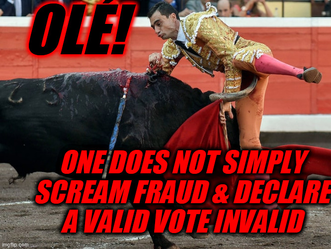 Bullfighter getting gored in crotch | OLÉ! ONE DOES NOT SIMPLY
SCREAM FRAUD & DECLARE
A VALID VOTE INVALID | image tagged in bullfighter getting gored in crotch | made w/ Imgflip meme maker