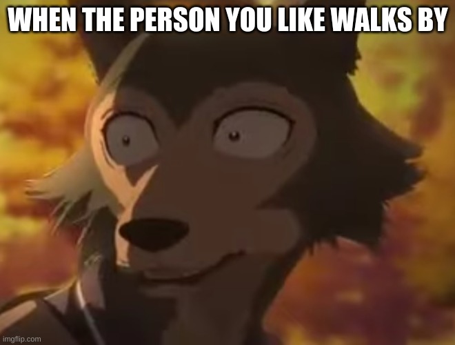 When the person you like walks by | WHEN THE PERSON YOU LIKE WALKS BY | image tagged in beastars | made w/ Imgflip meme maker