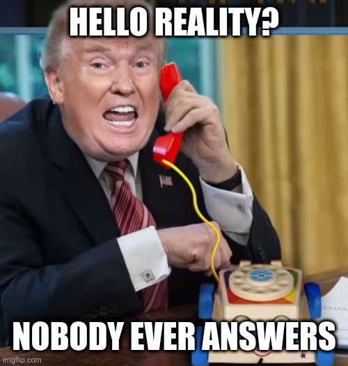 I'm the president | HELLO REALITY? NOBODY EVER ANSWERS | image tagged in i'm the president | made w/ Imgflip meme maker