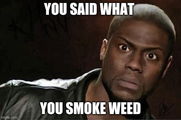 You what | YOU SAID WHAT; YOU SMOKE WEED | image tagged in memes,kevin hart | made w/ Imgflip meme maker