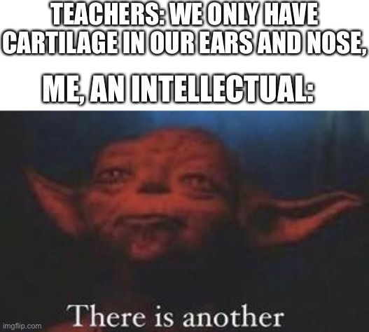 There are 3 actually | TEACHERS: WE ONLY HAVE CARTILAGE IN OUR EARS AND NOSE, ME, AN INTELLECTUAL: | image tagged in yoda there is another | made w/ Imgflip meme maker