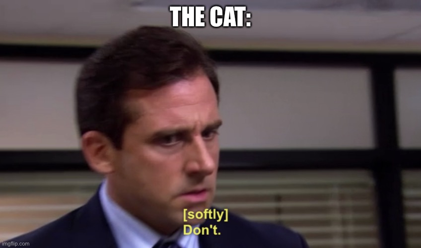 Michael Dont | THE CAT: | image tagged in michael dont | made w/ Imgflip meme maker